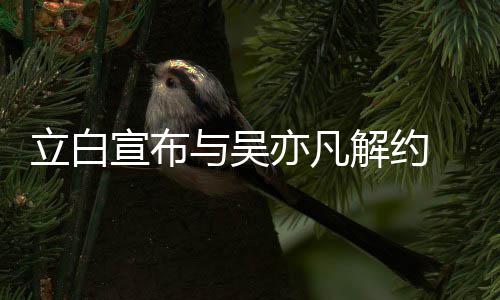 牌合宣布与吴亦凡 停解约止品作立白