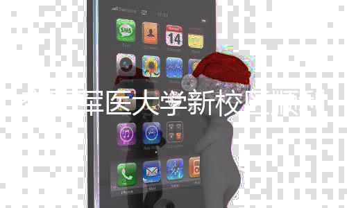 年整区顺迁新校空军体搬军医计划大学工 利竣