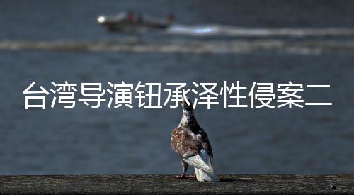 驳钮承年判4侵案宣判台湾二审泽性导演回上诉仍