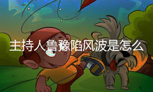 人鲁哪几么回目豫陷主持主持档节鲁豫风波是怎事