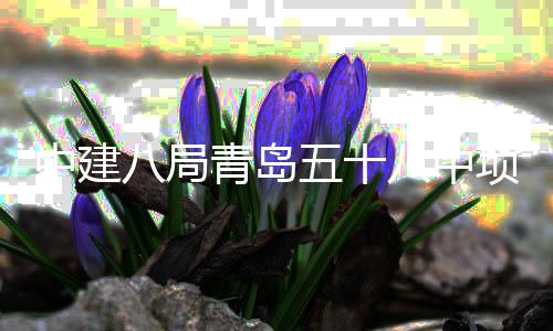 八局八中青岛全部项目五十中建主体封顶