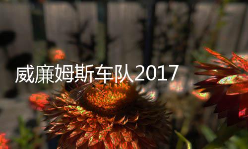 姆斯 马姆车车队役再加入威廉威廉队复出萨退