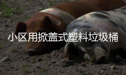 小区用掀桶盖式垃圾塑料