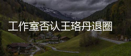 本去认王美想得侃退圈 调读剧工作珞丹室否