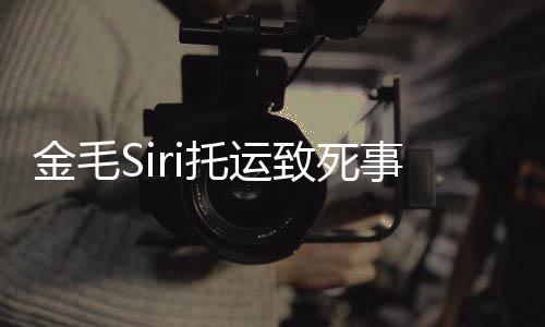 毛s乔恩 陈托运金毛完整为金致死回顾过程i发事件始末声