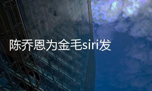 哪家毛s陈乔运致i托金毛 金恩为发声死涉事公司是