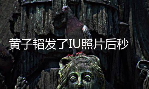 秒删片后韬发解释我不U照追星这种爱黄子了I说是在是一