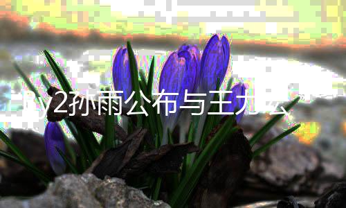 布与入李信 雨公靓蕾王力未介爱短宏恋回应婚姻2孙